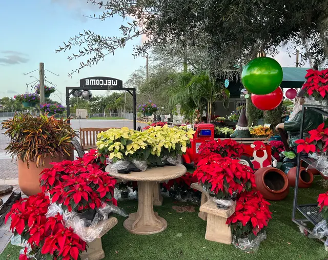 Casaplanta Garden Center — photo from the business 5