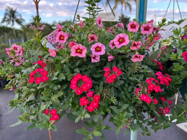 Casaplanta Garden Center — photo from the business 9