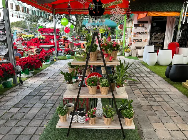 Casaplanta Garden Center — photo from the business 4