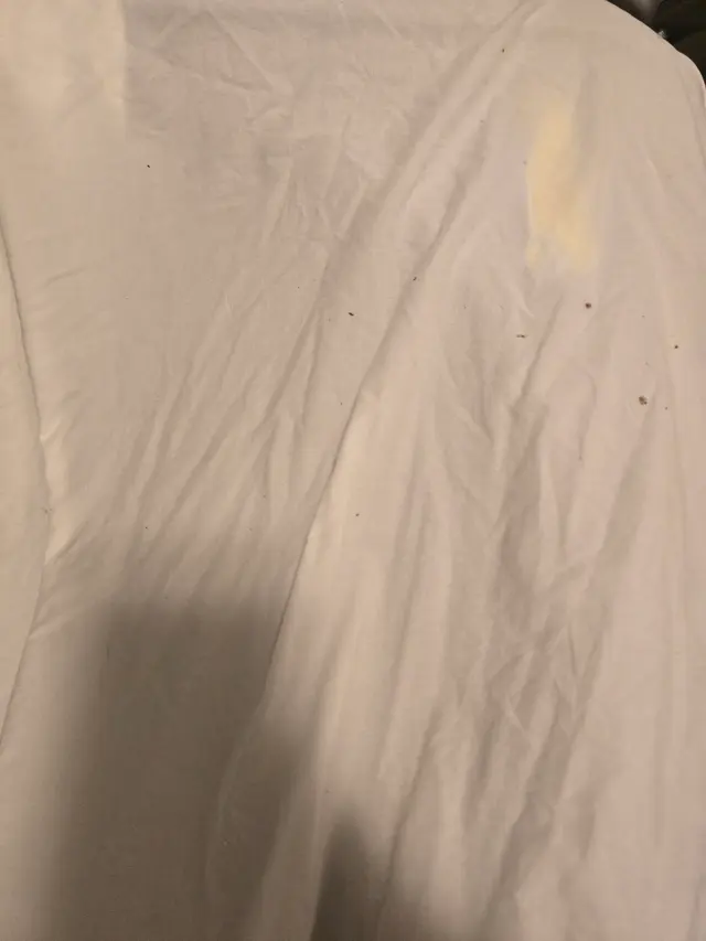 Elite Bed Bug Exterminators Seattle Washington — customer photo 9