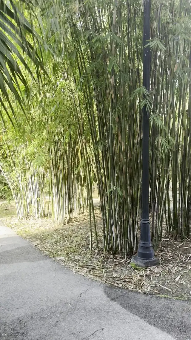 Botanical Garden Hialeah Gardens — customer photo 1