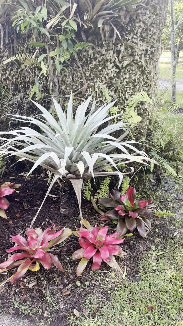 Botanical Garden Hialeah Gardens — customer photo 3