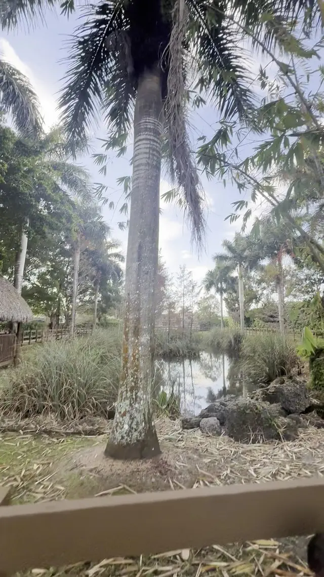 Botanical Garden Hialeah Gardens — customer photo 11