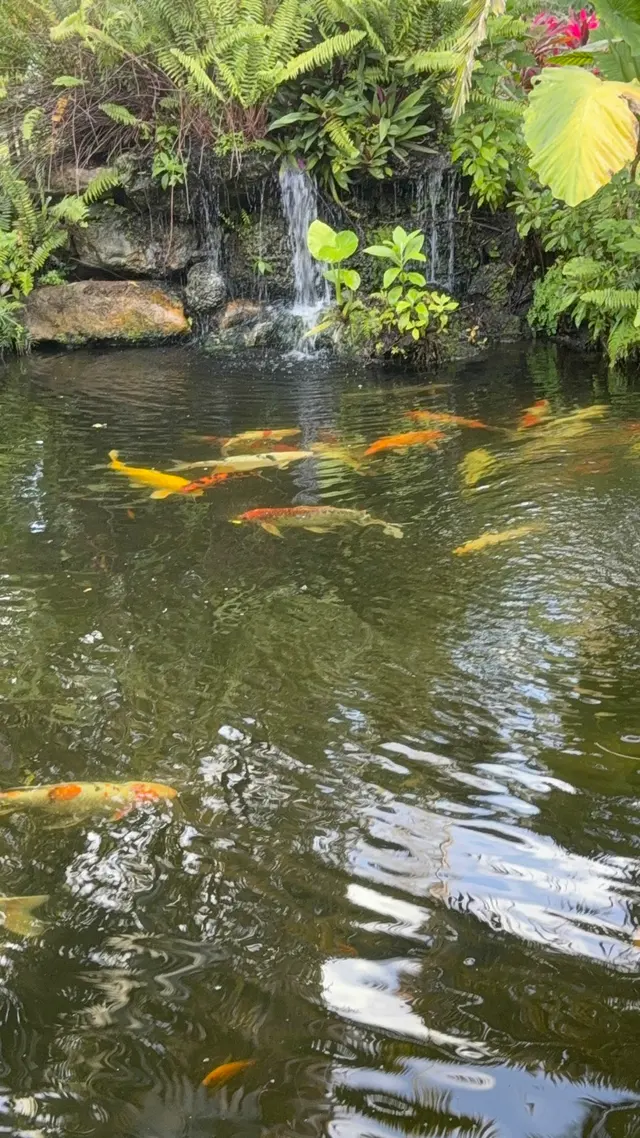 Customer photo of work by Botanical Garden Hialeah Gardens, from Giselle Caridad Batista Parra's review