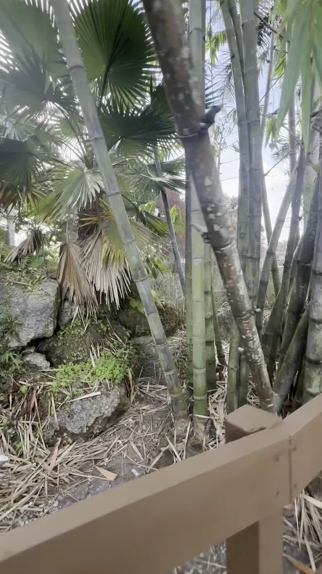 Botanical Garden Hialeah Gardens — customer photo 12