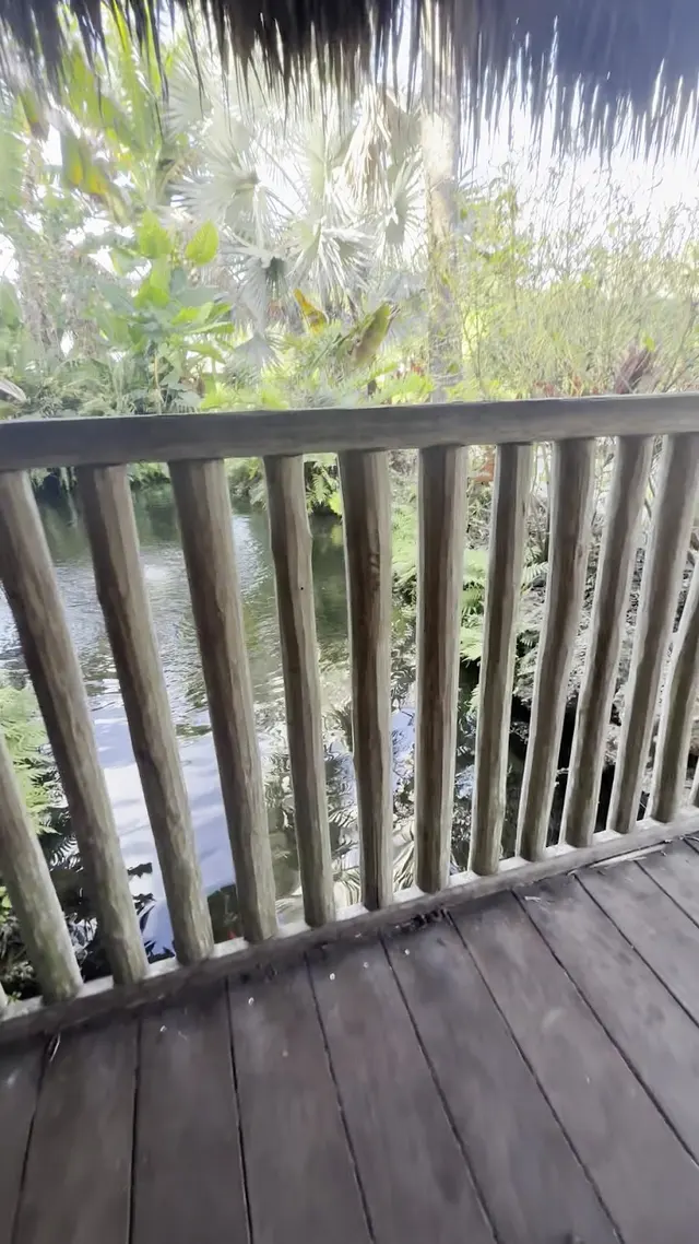 Customer photo of work by Botanical Garden Hialeah Gardens, from Giselle Caridad Batista Parra's review
