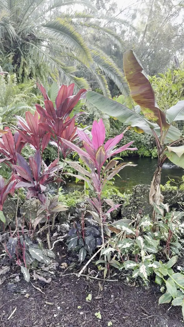 Botanical Garden Hialeah Gardens — customer photo 4