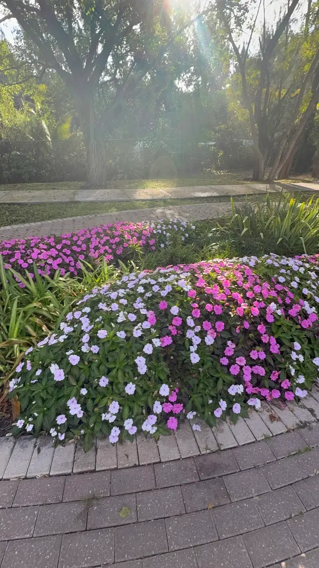 Botanical Garden Hialeah Gardens — customer photo 9