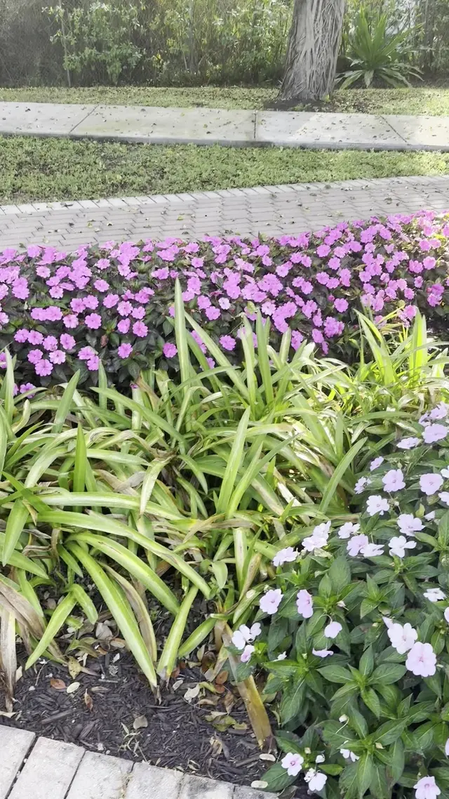 Botanical Garden Hialeah Gardens — customer photo 8