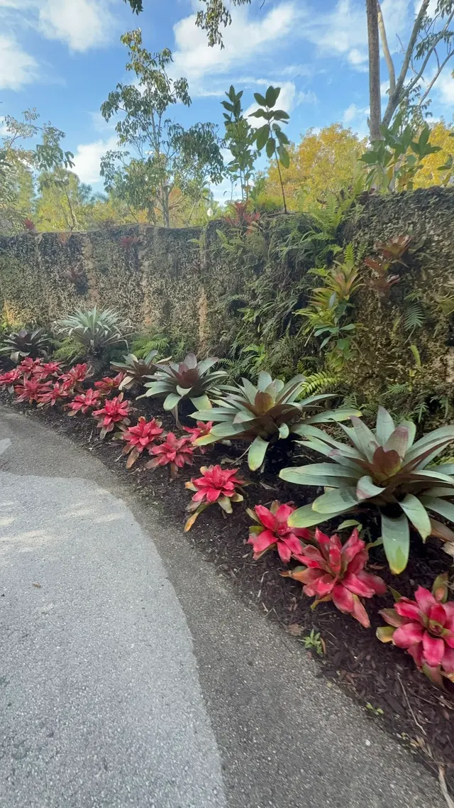 Botanical Garden Hialeah Gardens — customer photo 6