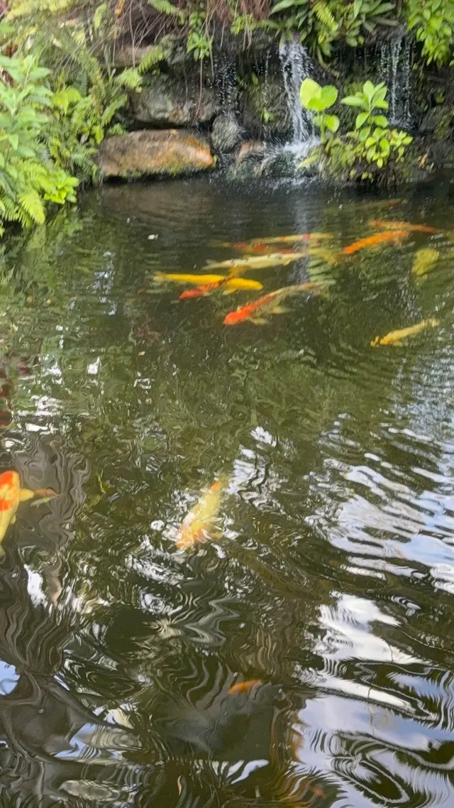 Customer photo of work by Botanical Garden Hialeah Gardens, from Giselle Caridad Batista Parra's review