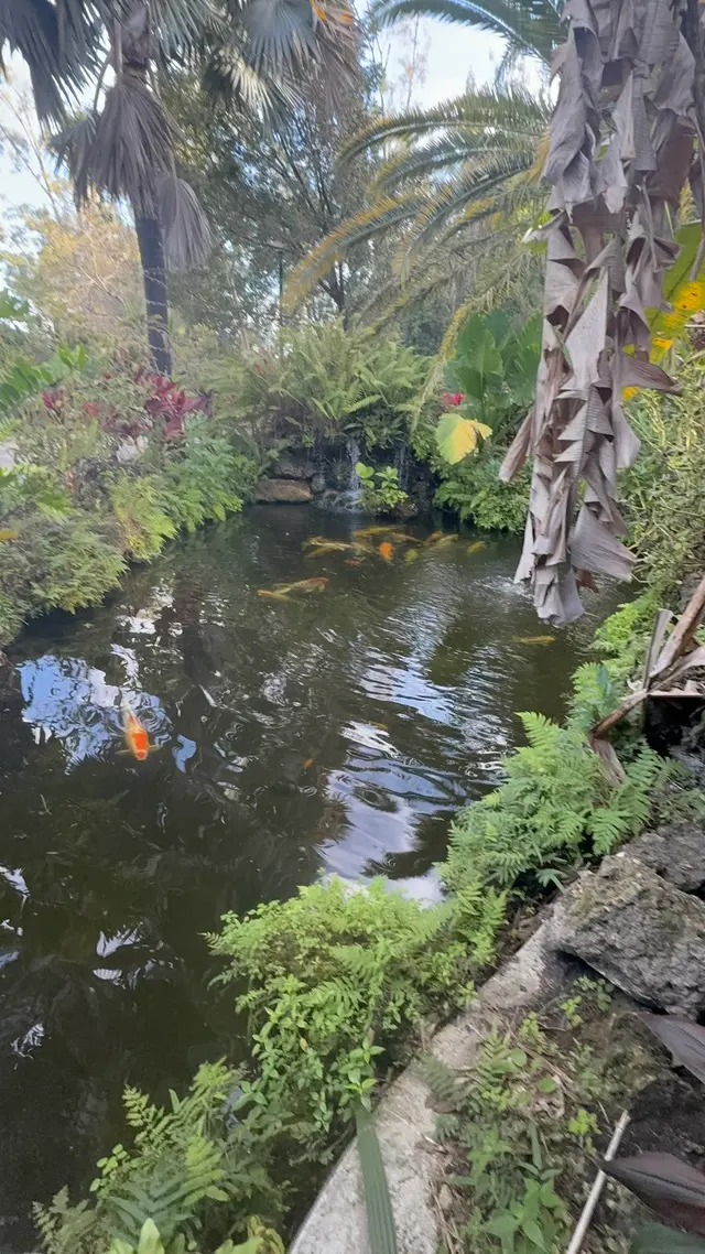 Customer photo of work by Botanical Garden Hialeah Gardens, from Giselle Caridad Batista Parra's review