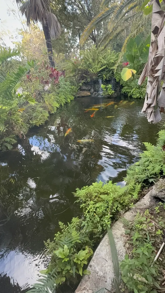 Customer photo of work by Botanical Garden Hialeah Gardens, from Giselle Caridad Batista Parra's review