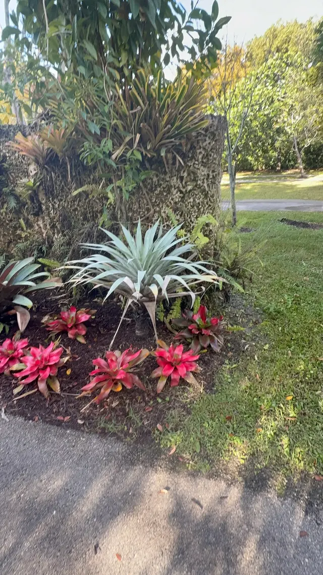 Botanical Garden Hialeah Gardens — customer photo 5