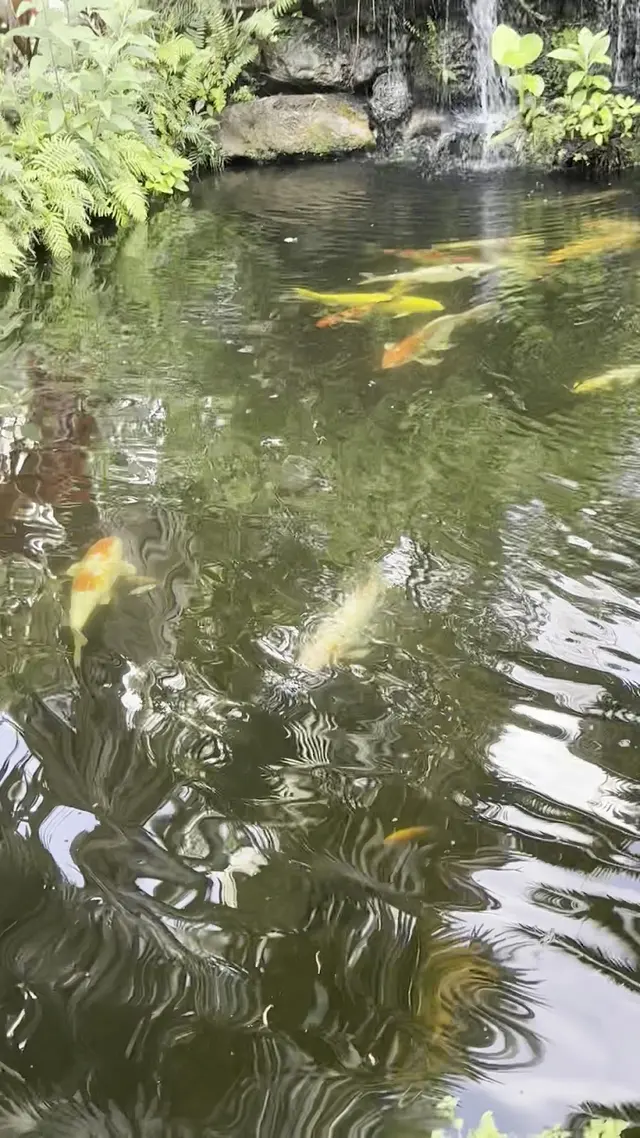 Customer photo of work by Botanical Garden Hialeah Gardens, from Giselle Caridad Batista Parra's review