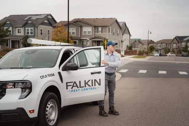 Falkin Pest Control — photo from the business 1