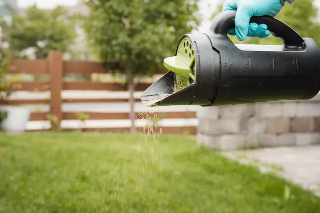 Falkin Pest Control — photo from the business 9