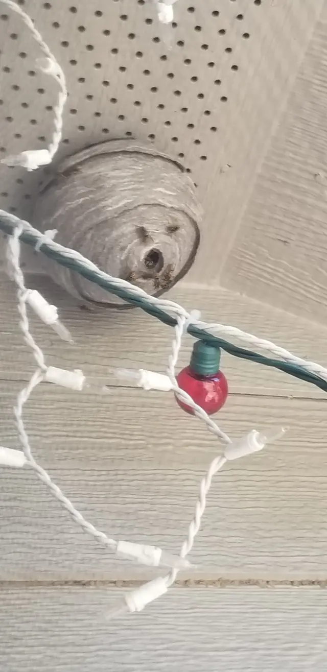 Customer photo from james's review