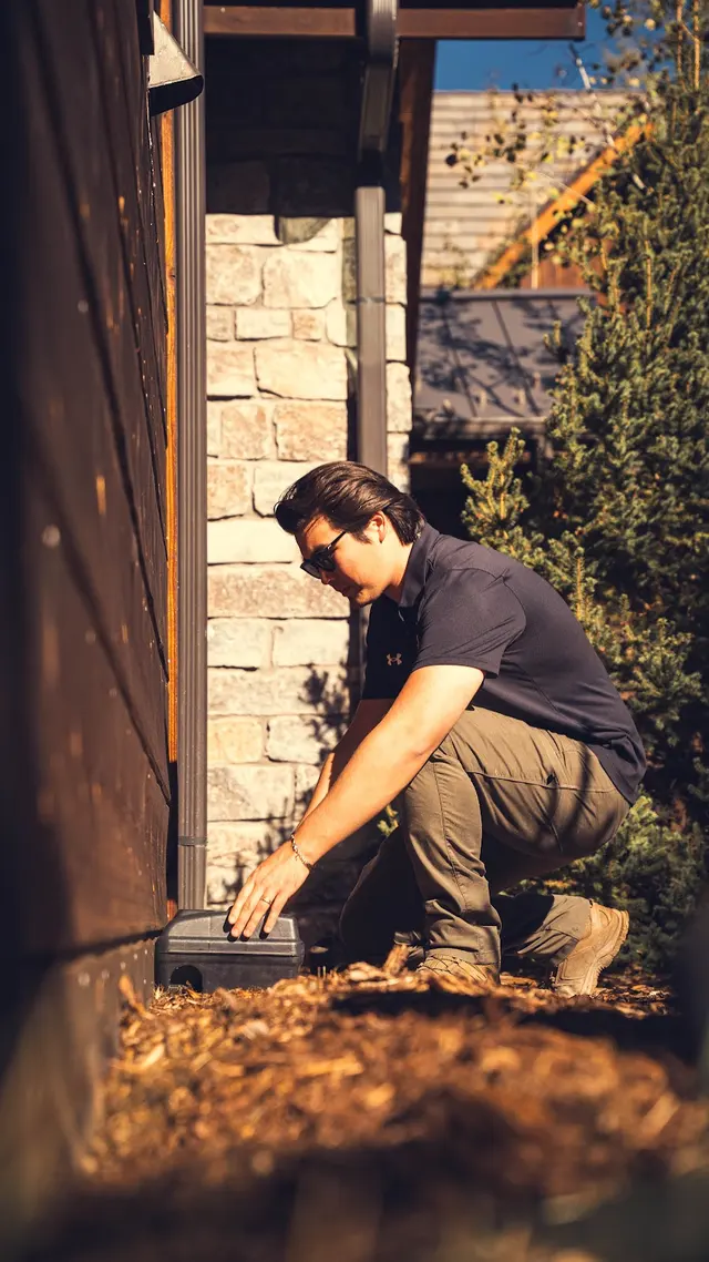 Pest Arrest Pest Control - Denver — photo from the business 8