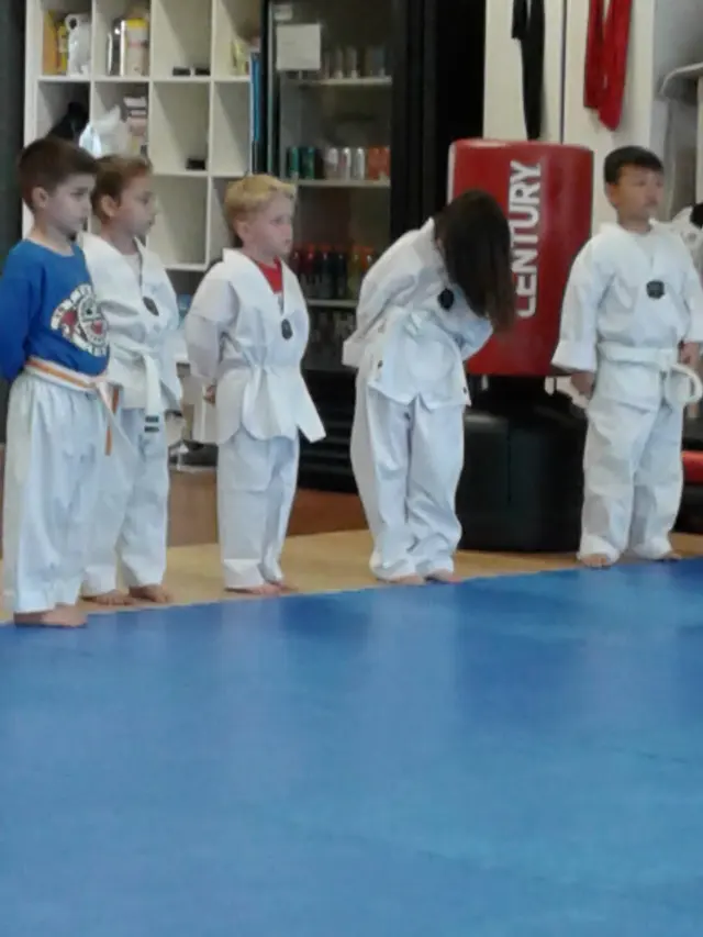 Robinson's Taekwondo — customer photo 1