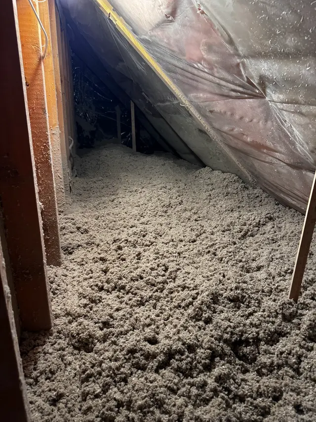 A.P. Pest Control — photo from the business 7