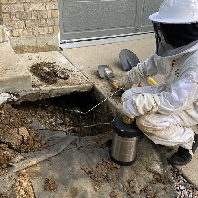 A.P. Pest Control — photo from the business 11