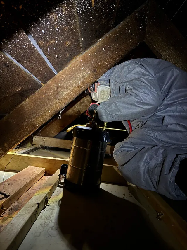 A.P. Pest Control — photo from the business 6