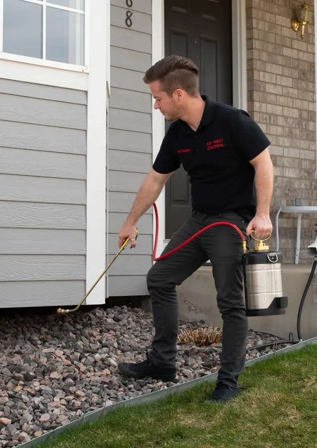 A.P. Pest Control — photo from the business 3