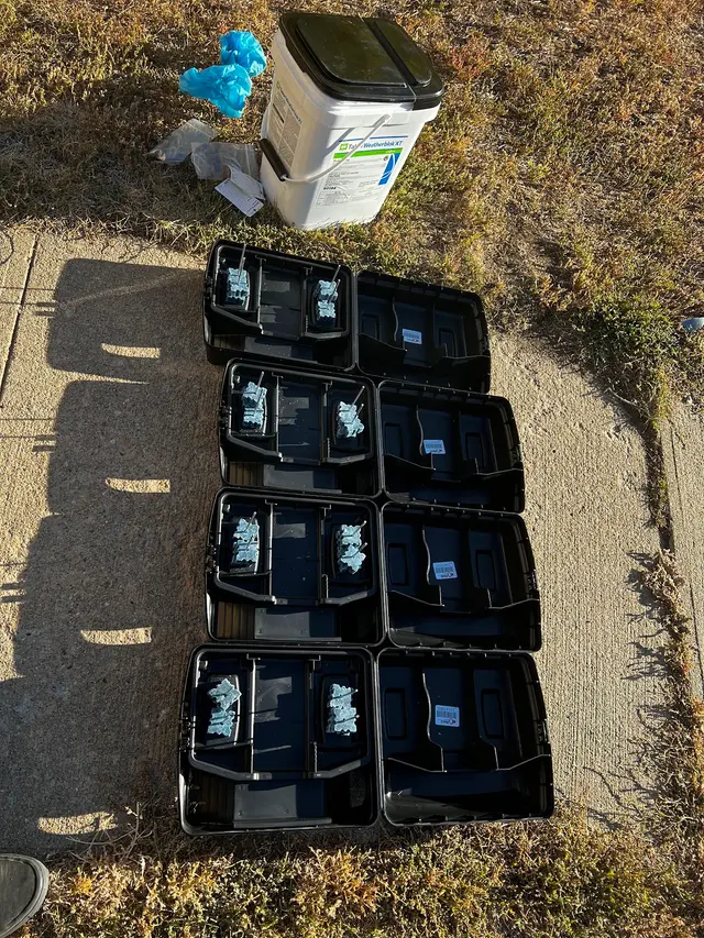 A.P. Pest Control — photo from the business 8
