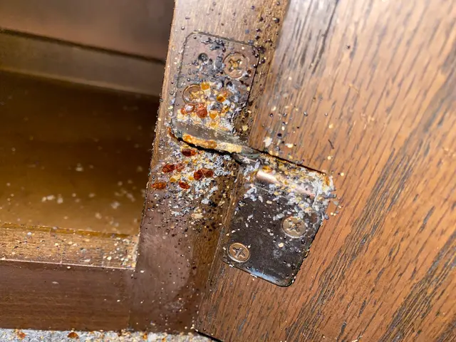 A.P. Pest Control — photo from the business 5