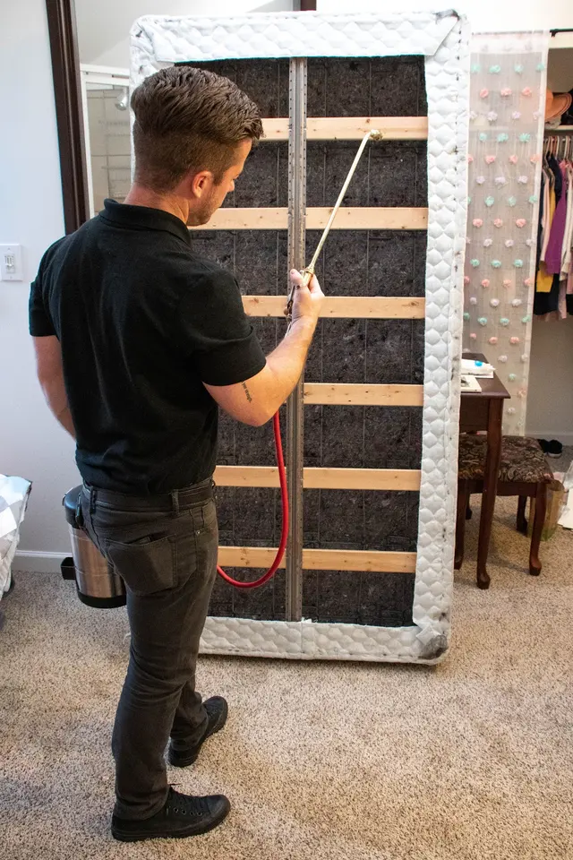 A.P. Pest Control — photo from the business 10