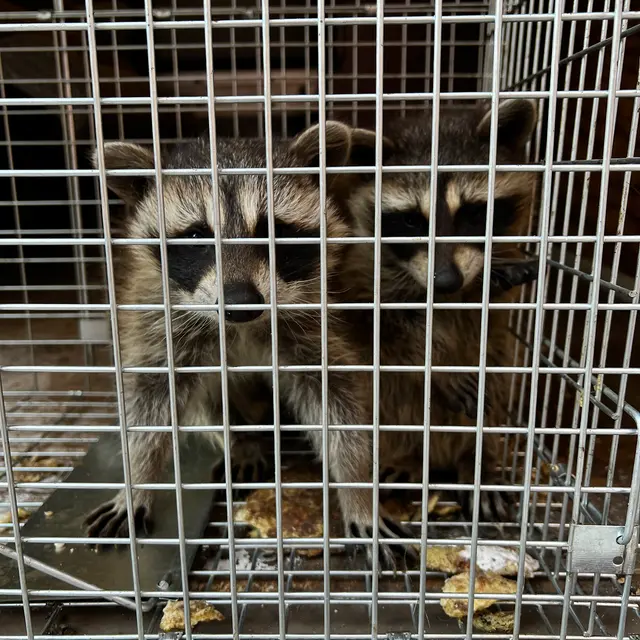 A.P. Pest Control — photo from the business 12