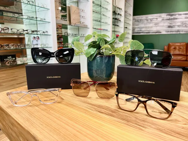 Britton Vision — photo from the business 6