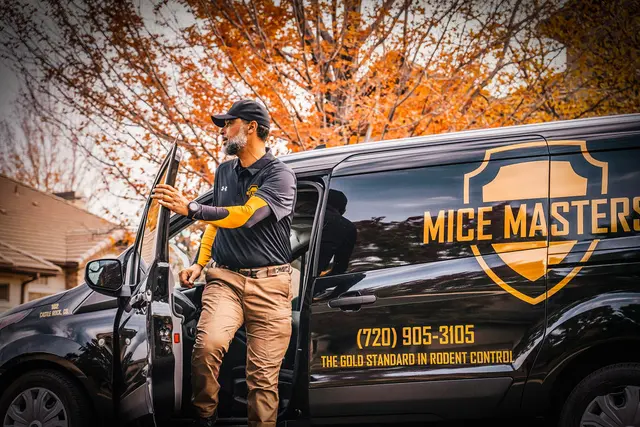 Mice Masters - Denver — photo from the business 2
