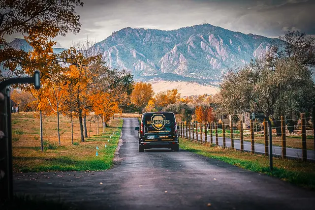 Mice Masters - Denver — photo from the business 4