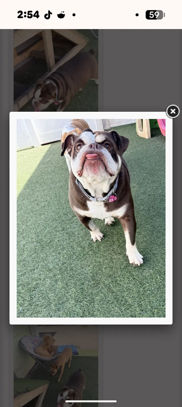 Customer photo from Jennifer's review