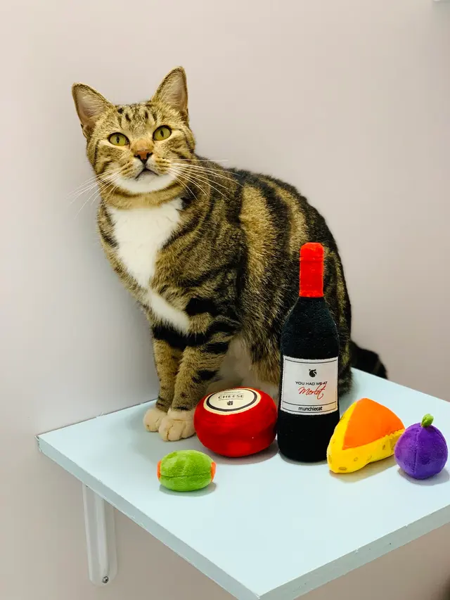 Pounce Hawaii — photo from the business 11