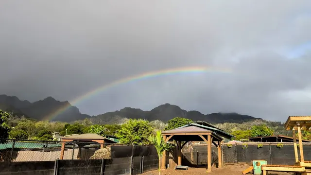 Kama'aina K9 Adventures — photo from the business 8