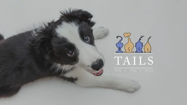 Tails of Hawaii — photo from the business 1