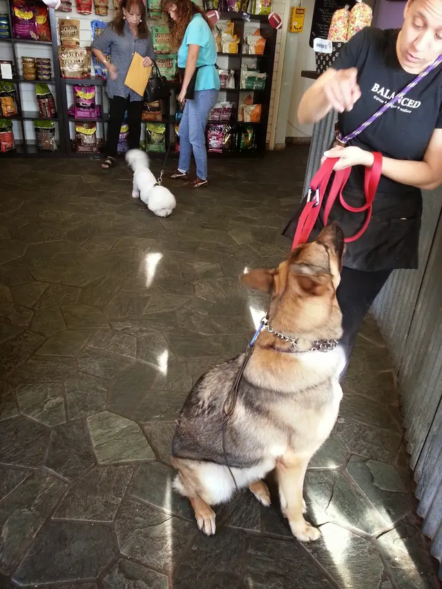 Tails of Hawaii — customer photo 6