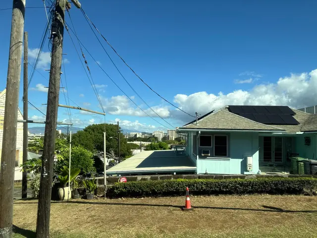 Aloha Cat Hotel — customer photo 10