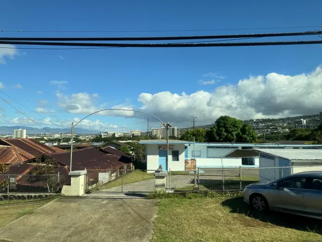Aloha Cat Hotel — customer photo 6