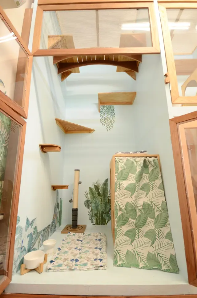 Aloha Cat Hotel — photo from the business 2