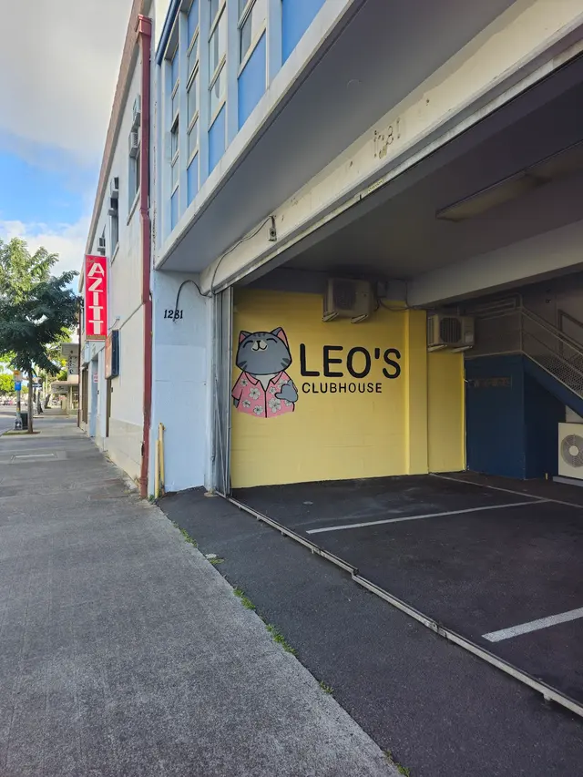Leo's Clubhouse Cat Hotel — photo from the business 1