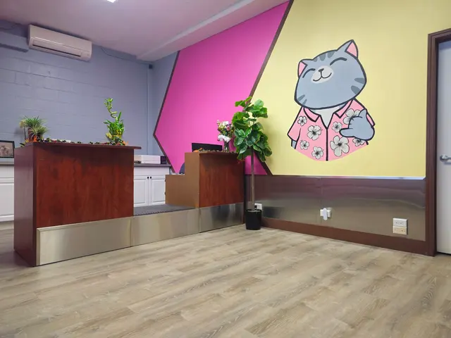 Leo's Clubhouse Cat Hotel — photo from the business 6