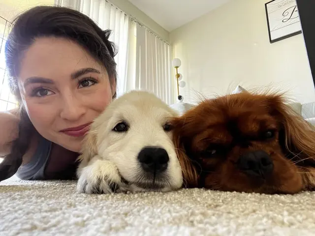 Peaceful Psyche LLC: Doggy Daycare & Boarding — photo from the business 10