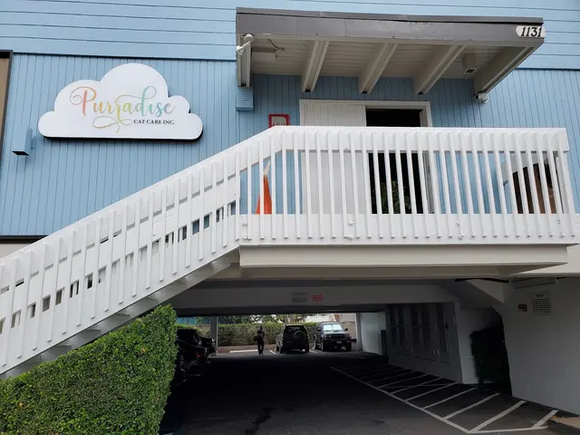 Purradise Cat Care, Inc. — customer photo 9