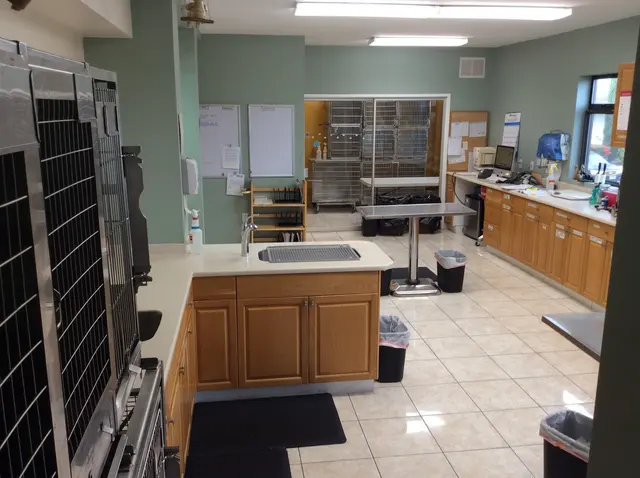 Purradise Cat Care, Inc. — photo from the business 8