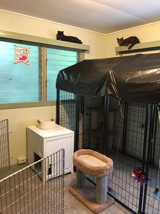 Barks and Purrs Pet Daycare and more — photo from the business 7