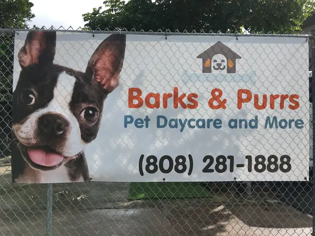 Barks and Purrs Pet Daycare and more — photo from the business 1